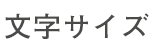 文字サイズ