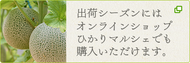 出荷シーズンにはオンラインショップひかりマルシェでも購入いただけます。