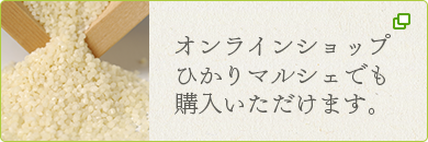 出荷シーズンにはオンラインショップひかりマルシェでも購入いただけます。オンラインショップひかりマルシェでも購入いただけます。
